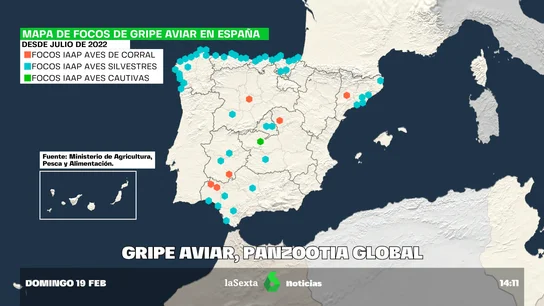 GRIPE AVIAR GRIPE AVIAR