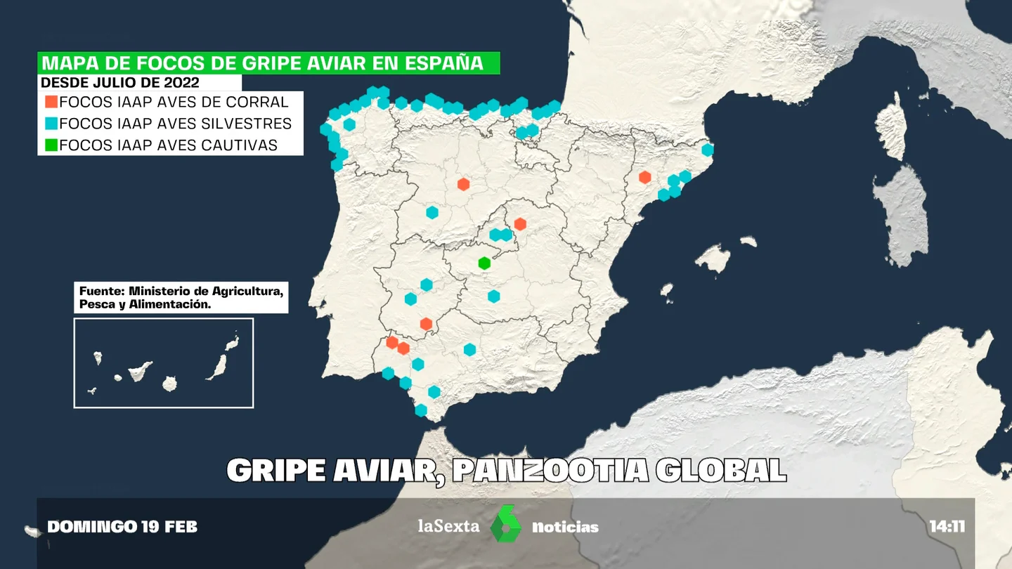 GRIPE AVIAR GRIPE AVIAR