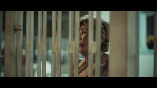 T&iacute;a de Antonio Angl&eacute;s