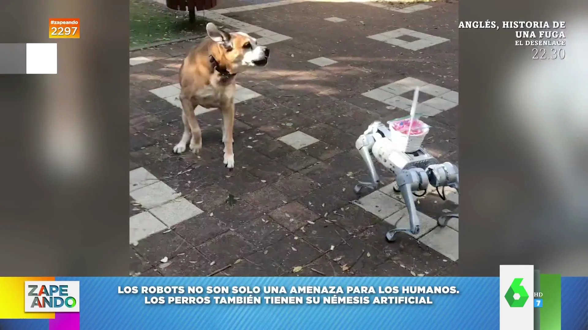 La reacción de un perro cuando ve a un perro robot