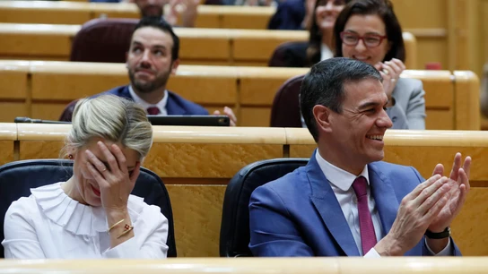 El presidente del Gobierno, Pedro Sánchez y la ministra de Trabajo, Yolanda Díaz, en la sesión de control que celebra el pleno del Senado este martes. El presidente del Gobierno, Pedro Sánchez y la ministra de Trabajo, Yolanda Díaz, en la sesión de control que celebra el pleno del Senado este martes.