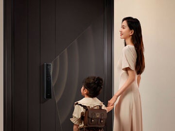 Xiaomi Smart Door Lock M20