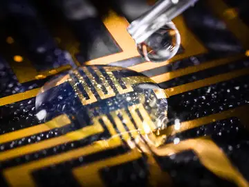 prueba del gel en un circuito microfabricado prueba del gel en un circuito microfabricado