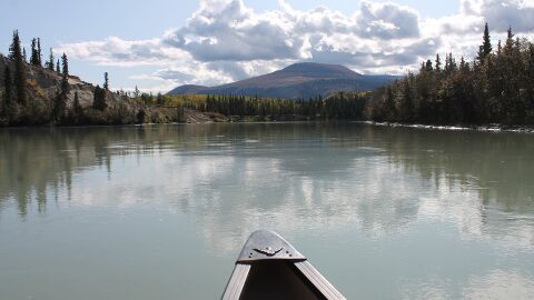 Río Yukón a su paso por Whitehorse