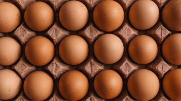La gripe aviar impacta de lleno en el precio de los huevos, que sube un 40%: "En Europa faltan y se demandan al coste que sea"