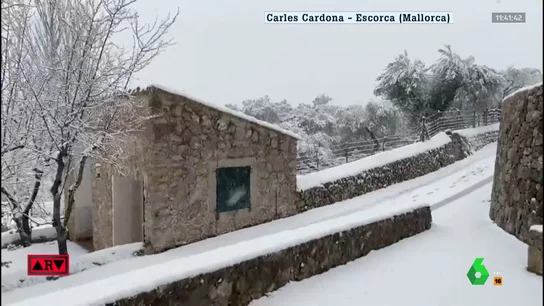 Aviso rojo por nieve en Mallorca: se pueden acumular más de 40 cm en 24 horas Aviso rojo por nieve en Mallorca: se pueden acumular más de 40 cm en 24 horas