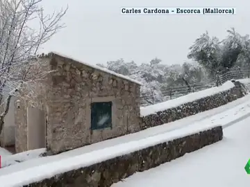 Aviso rojo por nieve en Mallorca: se pueden acumular más de 40 cm en 24 horas