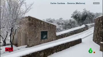 Aviso rojo por nieve en Mallorca: se pueden acumular más de 40 cm en 24 horas