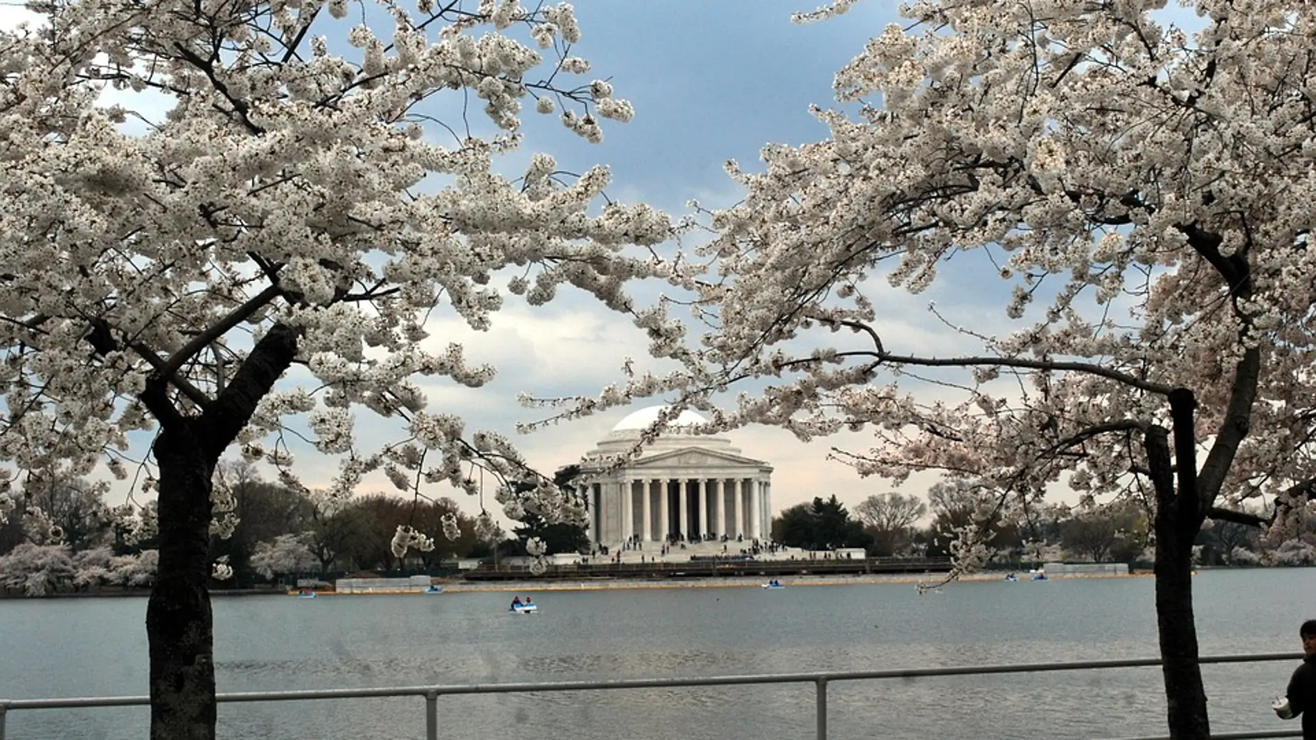 Por qué es buena idea visitar Washington en marzo