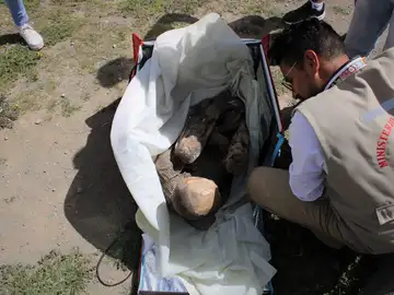 Encuentran una momia en una mochila de un repartidor en Perú