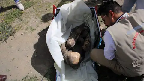 Encuentran una momia en una mochila de un repartidor en Perú Encuentran una momia en una mochila de un repartidor en Perú