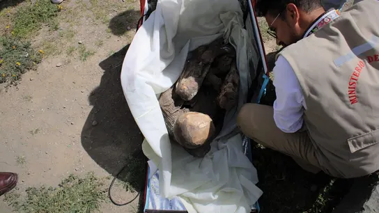 Hallan una momia prehispánica en la mochila de un repartidor de 'delivery' en Perú Hallan una momia prehispánica en la mochila de un repartidor de 'delivery' en Perú