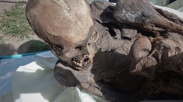 Hallan una momia prehispánica en mochila de repartidor de "delivery" en Perú