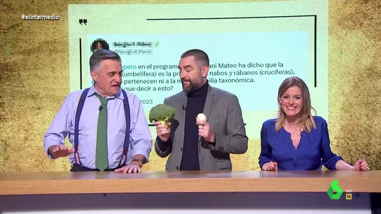 baño de realidad baño de realidad