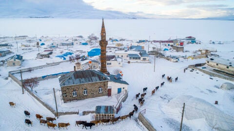 Kars