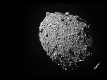 Asteroide Dimorfo Asteroide Dimorfo