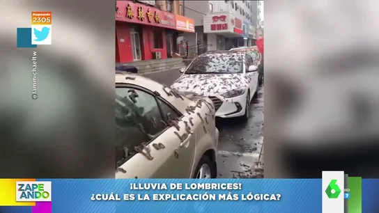 Llueven lombrices en China: esta es la razón que explicaría este fenómeno Llueven lombrices en China: esta es la razón que explicaría este fenómeno