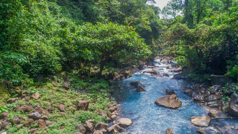 Parque Nacional Volcán Tenorio