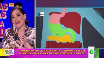 ¿Es peligroso comer chicle? ¿se pega al estómago? Boticaria García explica el viaje que hace por nuestro cuerpo