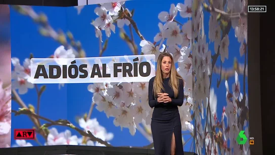 tiempo tiempo