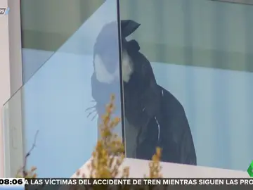 La preocupación de Alfonso Arús por la desaparición de la bruja del balcón de Shakira