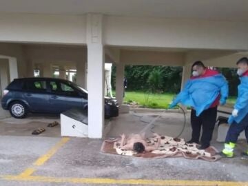 Shock in Greece over the outrageous images of two toilets bathing a woman with a hose