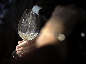 Los autores recomiendan un consumo moderado o nulo de alcohol en humanos