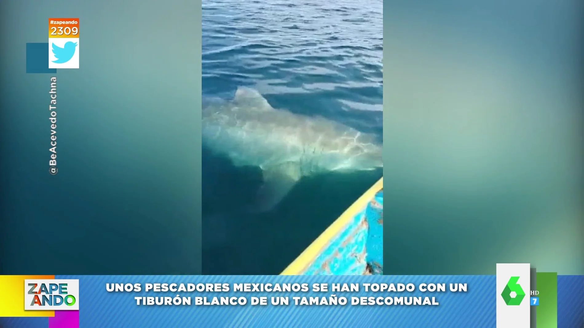 El susto viral de unos pescadores al ver cómo un tiburón de grandes dimensiones pasaba debajo de la barca 
