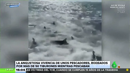 La angustiosa vivencia de unos pescadores rodeados por más de 50 tiburones La angustiosa vivencia de unos pescadores rodeados por más de 50 tiburones