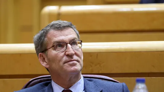 Alberto Núñez Feijóo, durante la sesión de control al Gobierno en el Senado el pasado 7 de marzo Feijoo durante la sesión de control al Gobierno en el pleno del Senado 07/03/2023