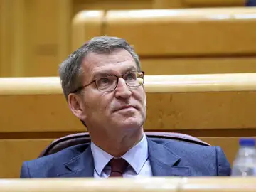 Alberto Núñez Feijóo, durante la sesión de control al Gobierno en el Senado el pasado 7 de marzo