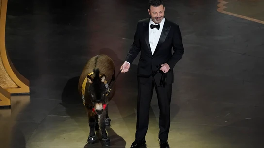 Jimmy Kimmel sube al escenario con Jenny, el burro de apoyo emocional en miniatura, en los Oscar. Jimmy Kimmel sube al escenario con Jenny, el burro de apoyo emocional en miniatura, en los Oscar.