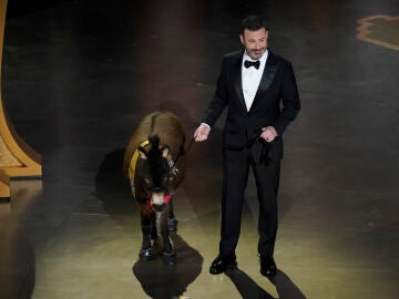 Winks at Will Smith’s slap, a donkey and a giant bear: the anecdotes of the 95th edition of the Oscars