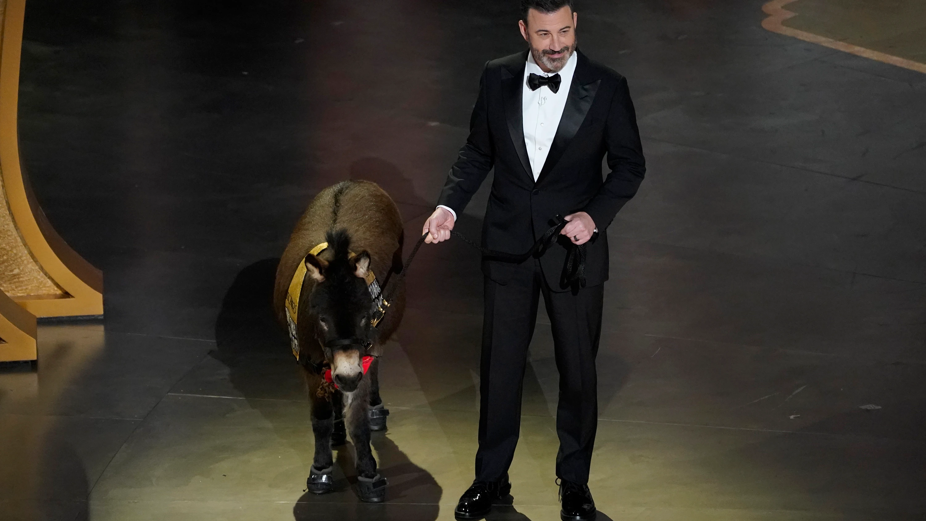 Jimmy Kimmel sube al escenario con Jenny, el burro de apoyo emocional en miniatura, en los Oscar.