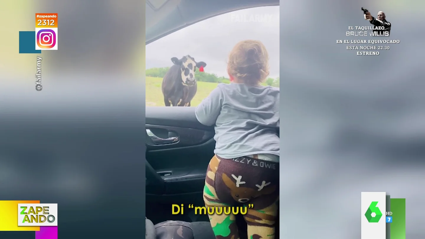 La 'divertida' reacción de un bebé cuando se encuentra por primera vez con una vaca La 'divertida' reacción de un bebé cuando se encuentra por primera vez con una vaca
