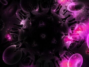 células VIH