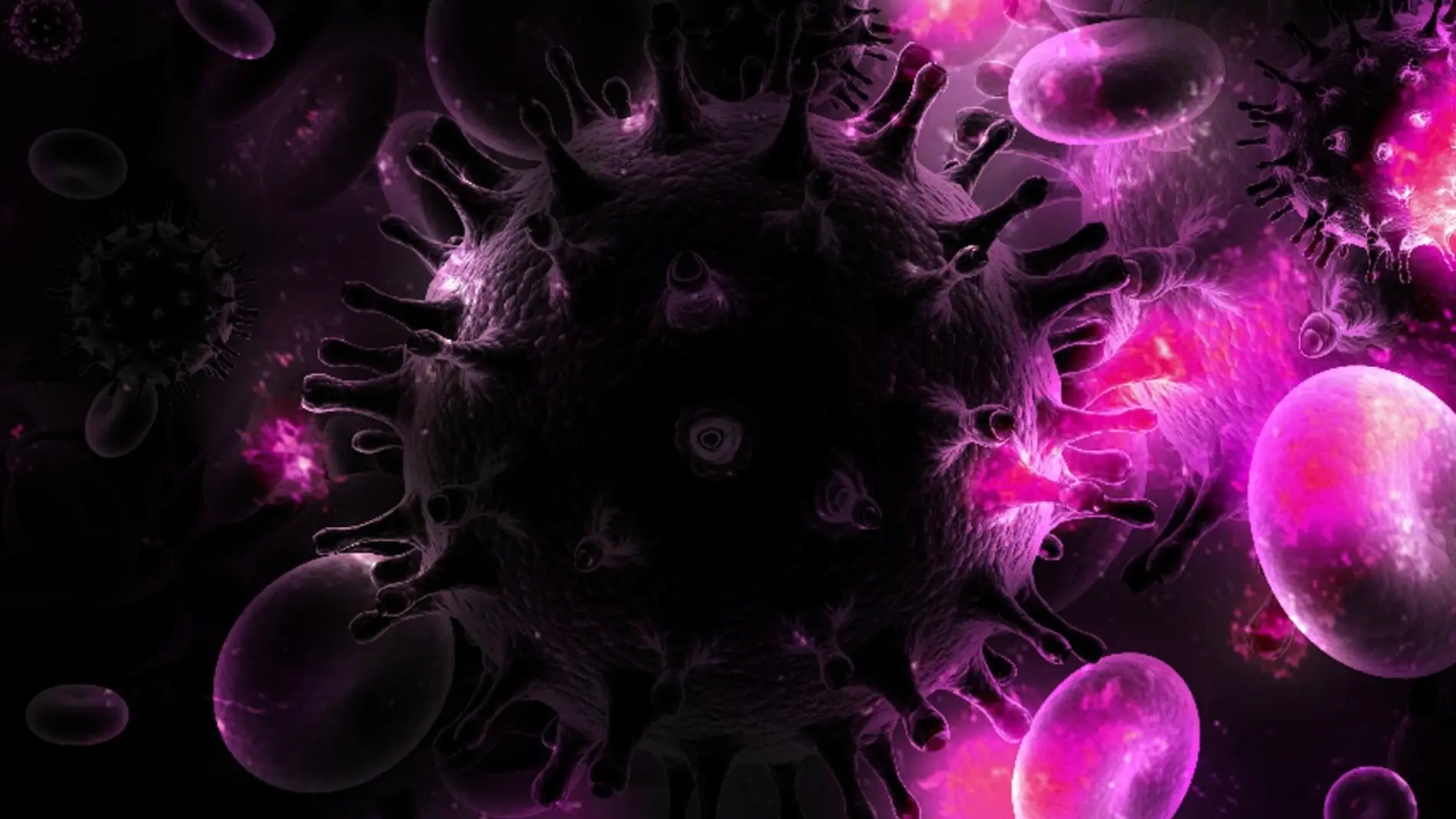 células VIH