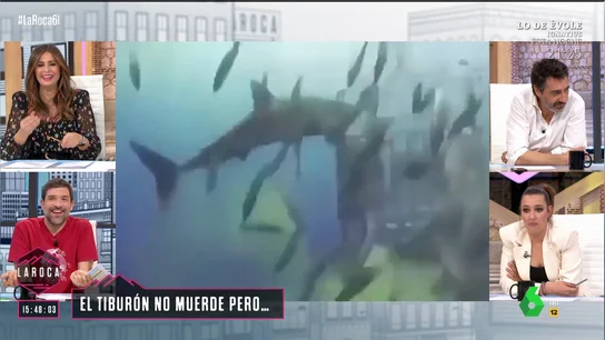 El debate en La Roca sobre la caca de tiburón El debate en La Roca sobre la caca de tiburón