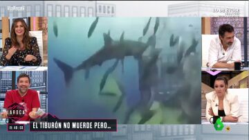 El debate en La Roca sobre la caca de tiburón
