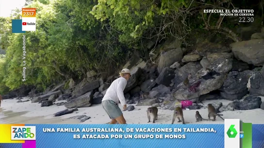 Así defiende un padre a su familia del ataque de unos monos Así defiende un padre a su familia del ataque de unos monos