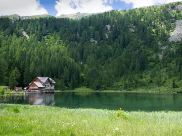 Parque Natural Adamello Brenta: un paraíso natural en el norte de Italia Parque Natural Adamello Brenta: un paraíso natural en el norte de Italia