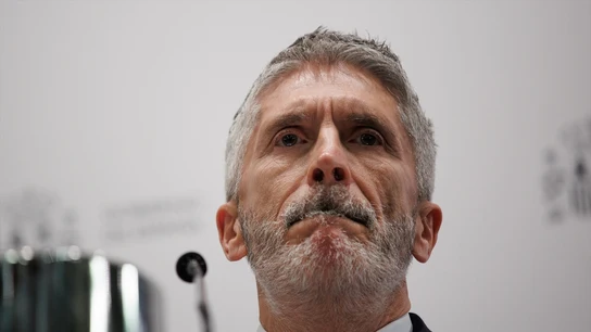 El ministro del Interior, Fernando Grande-Marlaska, durante la rueda de prensa El ministro del Interior, Fernando Grande-Marlaska, durante la rueda de prensa