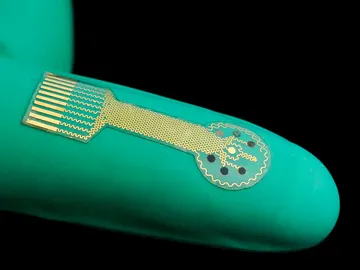 Imagen de un parche adherible a la piel Imagen de un parche adherible a la piel