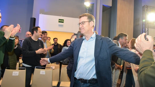 Alberto Núñez Feijóo, en el acto del PP en Guadalajara Alberto Núñez Feijóo, en el acto del PP en Guadalajara
