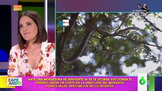 ¿Podemos succionar el veneno de la mordedura de una serpiente? Boticaria García explica los pasos a seguir ¿Podemos succionar el veneno de la mordedura de una serpiente? Boticaria García explica los pasos a seguir