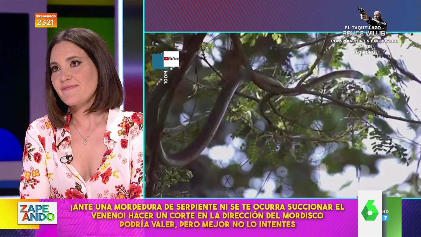 ¿Podemos succionar el veneno de la mordedura de una serpiente? Boticaria García explica los pasos a seguir ¿Podemos succionar el veneno de la mordedura de una serpiente? Boticaria García explica los pasos a seguir
