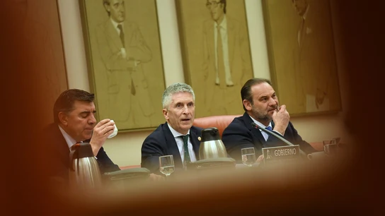 El ministro de Interior, Fernando Grande-Marlaska, comparece en la Comisión de Interior, en el Congreso de los Diputados El ministro de Interior, Fernando Grande-Marlaska, comparece en la Comisión de Interior, en el Congreso de los Diputados