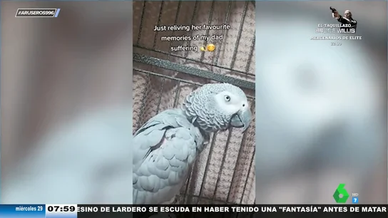 El macabro loro que imita la tos de su dueño enfermo El macabro loro que imita la tos de su dueño enfermo