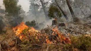 Imagen del fuego en la localidad de Montán.