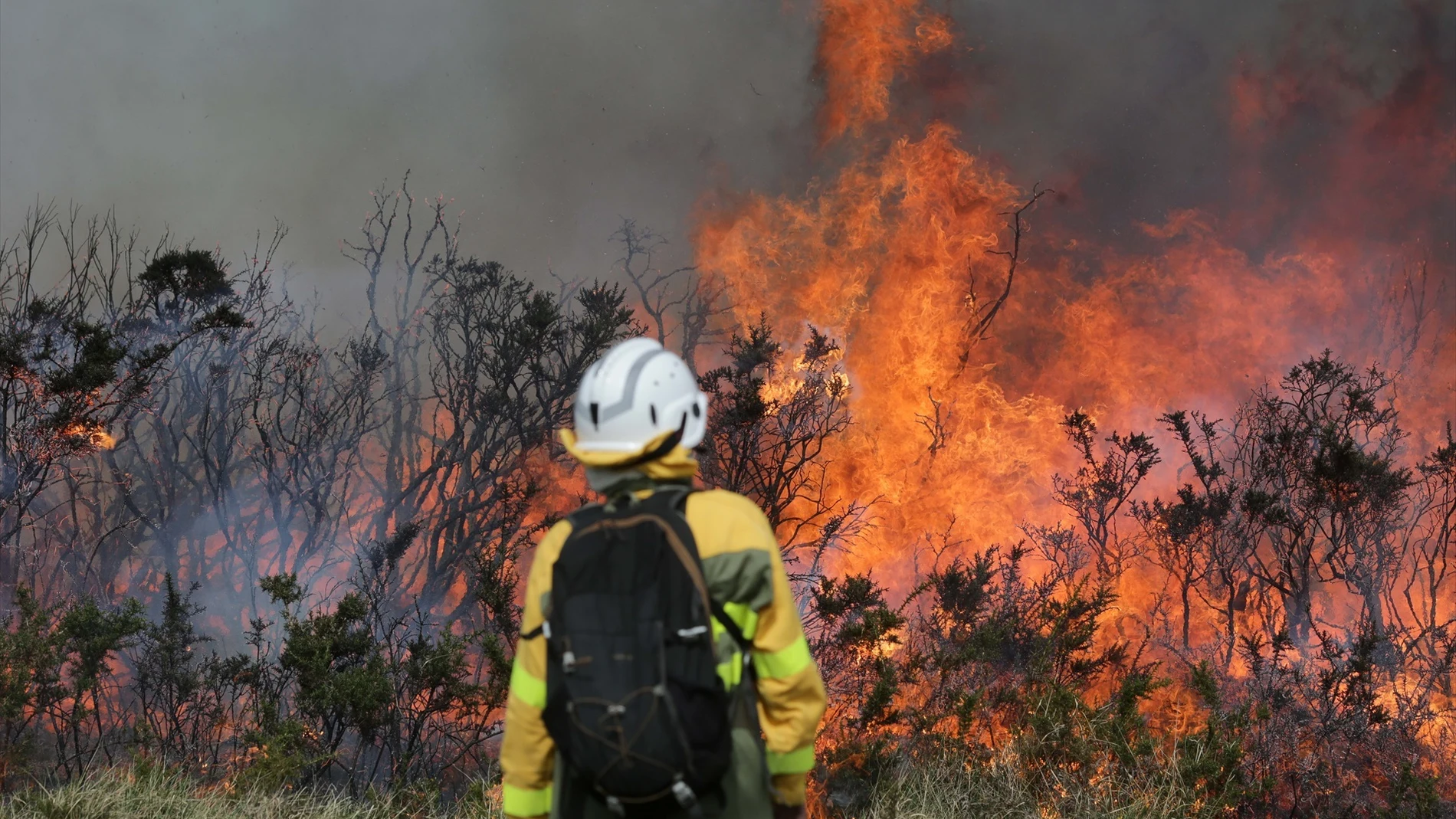 Un efectivo de la Xunta con base en Becerreá trabajan para extinguir las llamas en un incendio forestal, a 29 de marzo de 2023, en Baleira